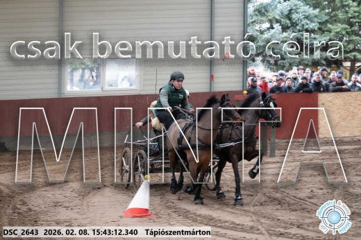 Mintakép 20260208-2058