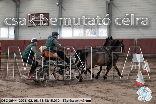 Mintakép 20260208-2059