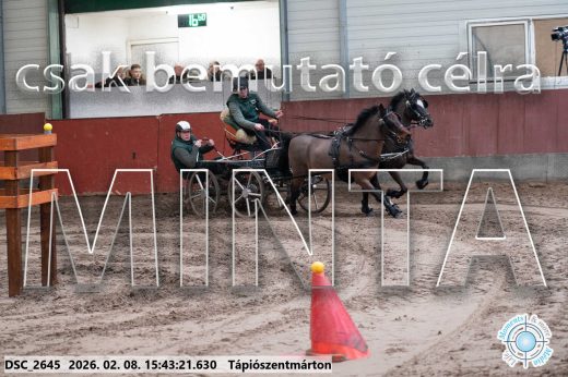 Mintakép 20260208-2060