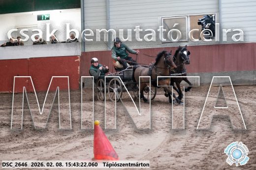 Mintakép 20260208-2061