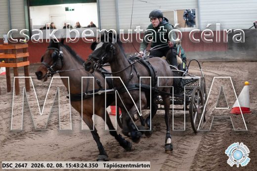 Mintakép 20260208-2062