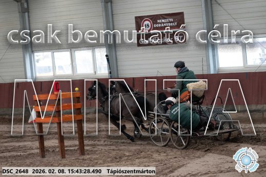 Mintakép 20260208-2063