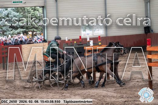Mintakép 20260208-2065