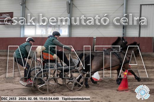 Mintakép 20260208-2068