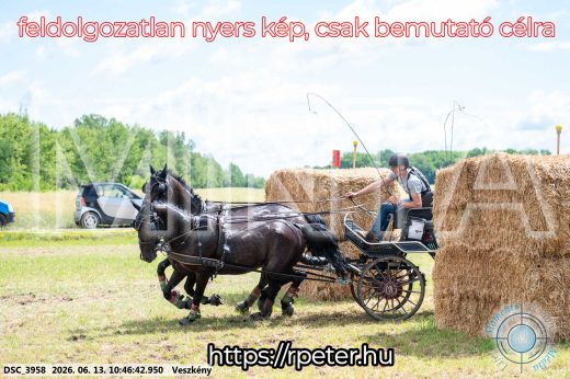 Mintakép 20260613-682