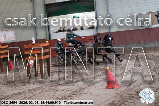 Mintakép 20260208-2069