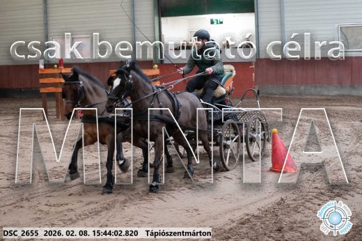 Mintakép 20260208-2070