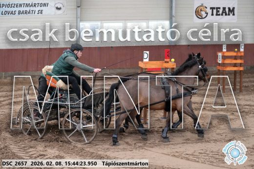 Mintakép 20260208-2072