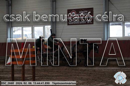 Mintakép 20260208-2075