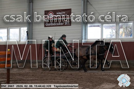 Mintakép 20260208-2076