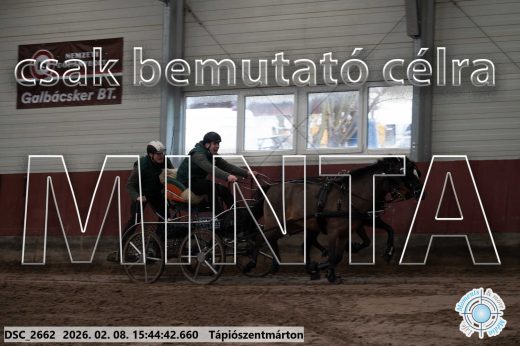 Mintakép 20260208-2077