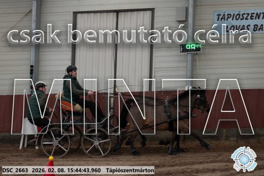 Mintakép 20260208-2078