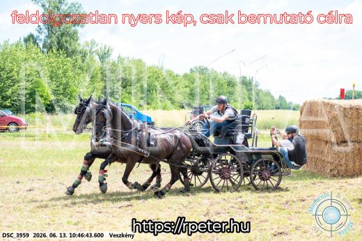 Mintakép 20260613-683
