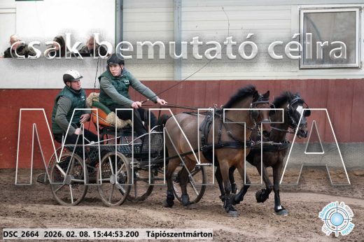 Mintakép 20260208-2079
