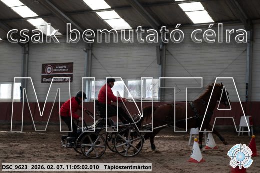 Mintakép 20260207-1206
