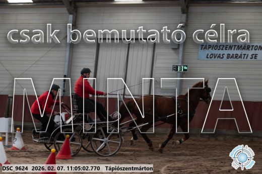 Mintakép 20260207-1207