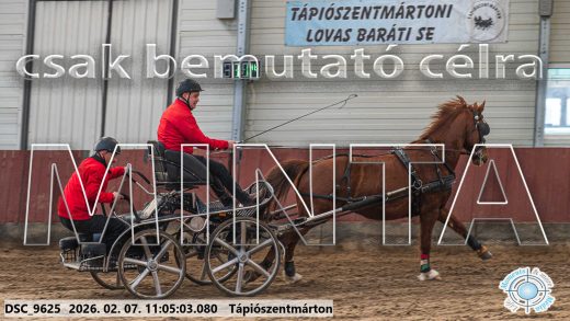 Mintakép 20260207-1208
