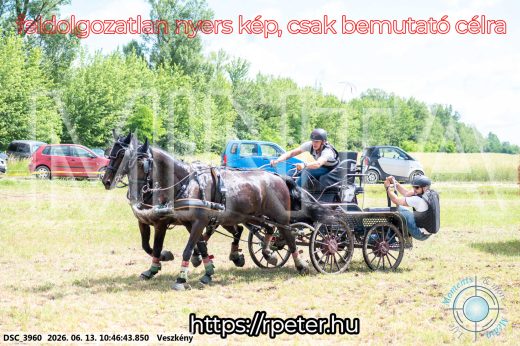 Mintakép 20260613-684