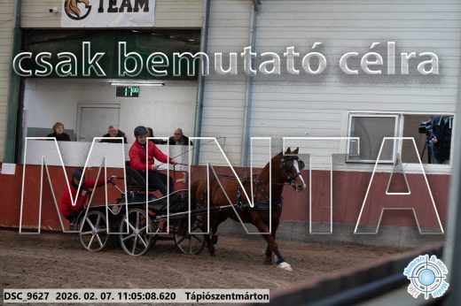 Mintakép 20260207-1210