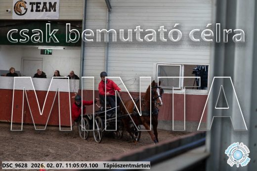 Mintakép 20260207-1211