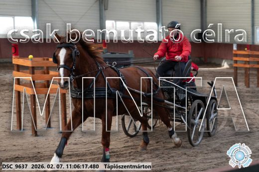 Mintakép 20260207-1217