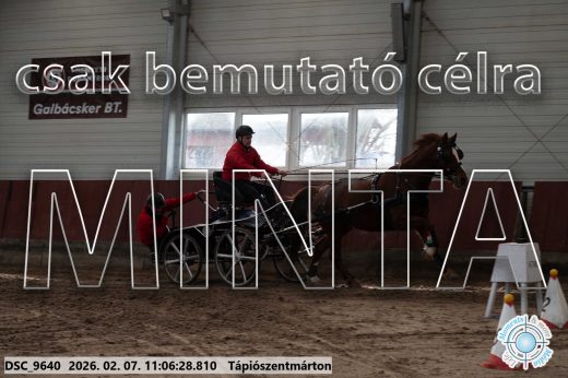 Mintakép 20260207-1219