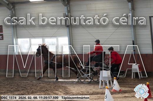 Mintakép 20260208-2081