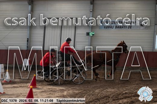 Mintakép 20260208-2085
