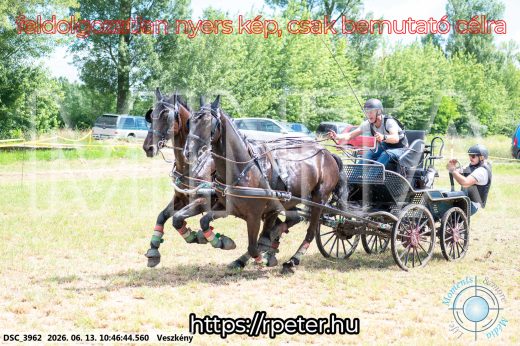 Mintakép 20260613-686