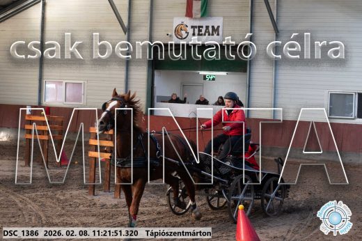 Mintakép 20260208-2092