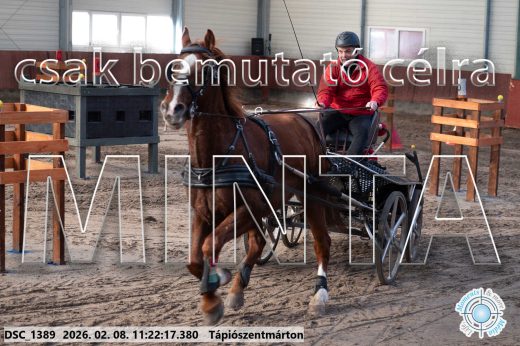 Mintakép 20260208-2094