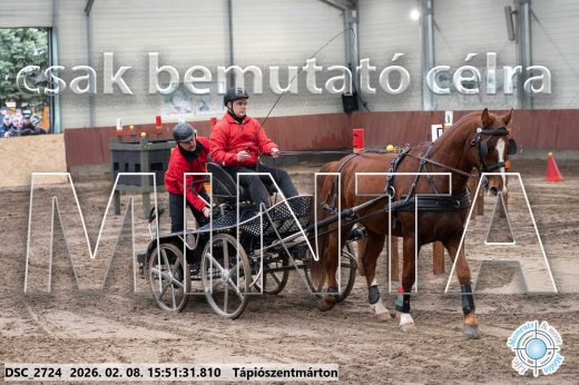 Mintakép 20260208-2096