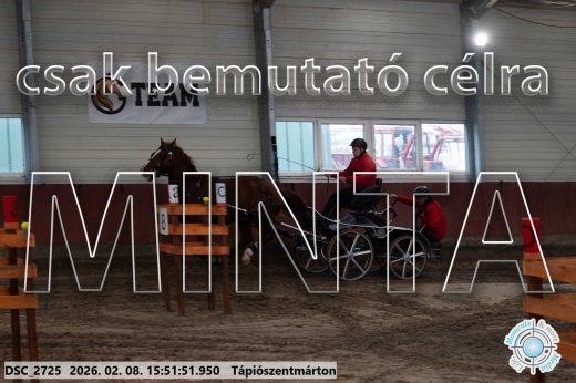 Mintakép 20260208-2097