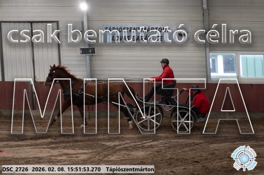 Mintakép 20260208-2098