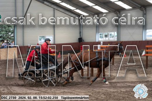 Mintakép 20260208-2102
