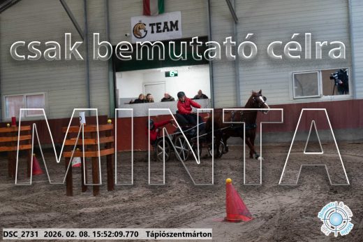 Mintakép 20260208-2103