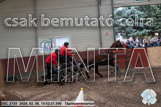 Mintakép 20260208-2105