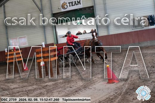 Mintakép 20260208-2109
