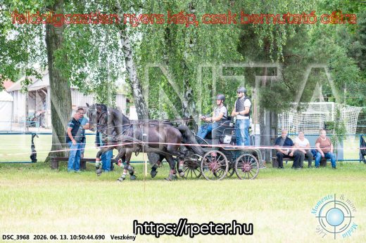 Mintakép 20260613-688