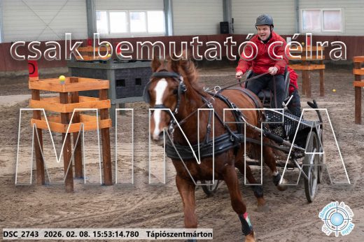Mintakép 20260208-2113