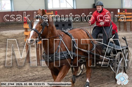 Mintakép 20260208-2114