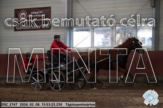 Mintakép 20260208-2115