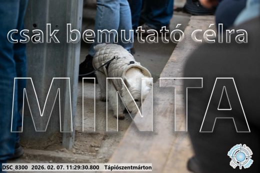Mintakép 20260207-1227
