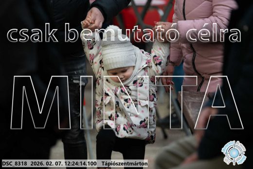 Mintakép 20260207-1229
