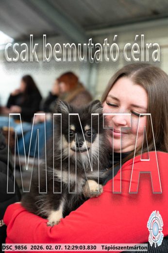 Mintakép 20260207-1232