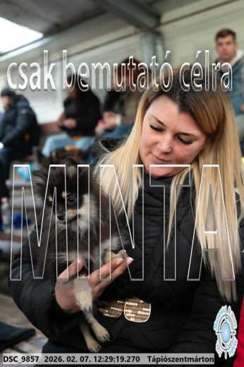 Mintakép 20260207-1233