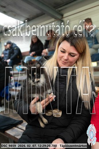 Mintakép 20260207-1235