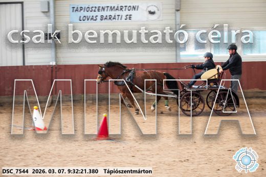 Mintakép 20260307-5