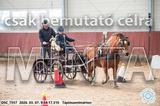 Mintakép 20260307-17