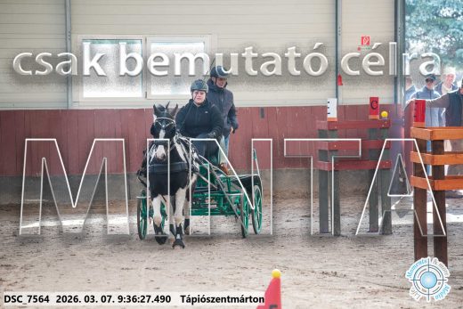 20260307-093627-DSC_7564.jpg